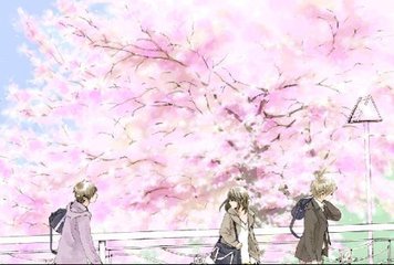 传媒在线观看免费完整版